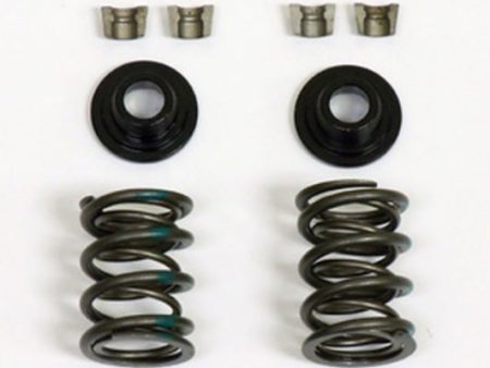 Dual Valve Spring Kit,  40lbs Discount