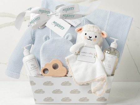 Bundle of Joy Baby Gift Basket in Blue on Sale