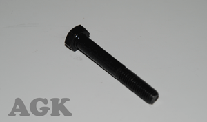 Bolt, Hex Head M8x1.25x55mm Supply