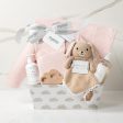 Bundle of Joy Baby Gift Basket in Pink Sale