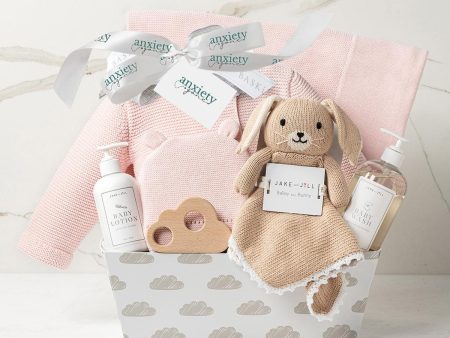 Bundle of Joy Baby Gift Basket in Pink Sale