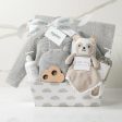 Bundle of Joy Baby Gift Basket in Gray Supply