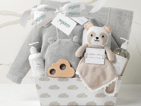 Bundle of Joy Baby Gift Basket in Gray Supply