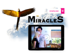 One Day Miracles Hot on Sale