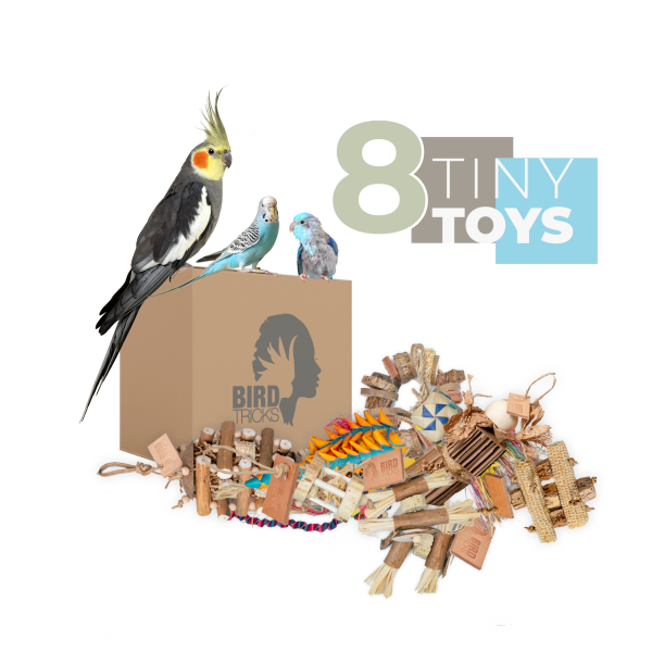 Tiny Toy Box (Bundle of 8) Online