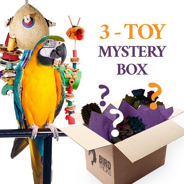 Premium All-Natural Parrot Toys (Bundle of 3) Discount