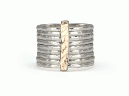 Breath Spinning Ring in 14K Gold and Sterling Silver Discount