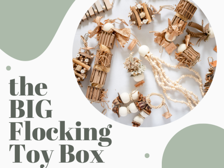 The BIG Flocking Toy Box For Discount