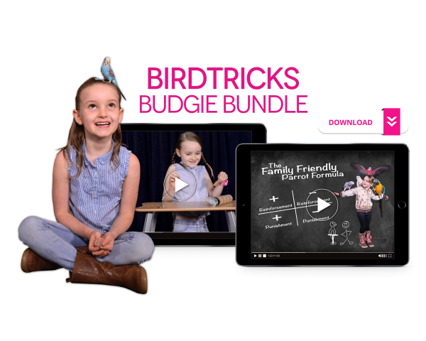 The Complete Budgie Bundle Cheap