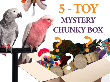 Chunky Toy Box (Bundle of 5) Fashion