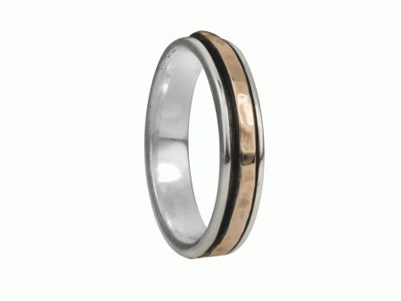 Dharma Spinner Ring Sterling Silver For Sale