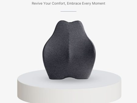 ANEW Ergonomic Back Cushion For Discount