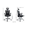 [PRE-ORDER] ANEW Standard Ergonomic Chair Supply