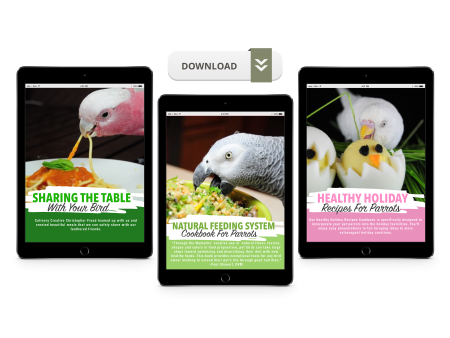 Natural Feeding System (Digital Download) Online Hot Sale