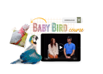 The Baby Bird Course Online Sale