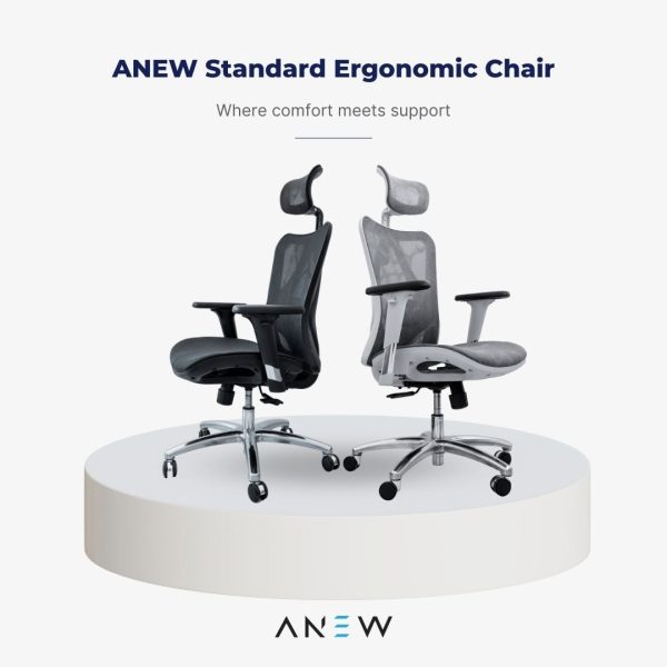 [PRE-ORDER] ANEW Standard Ergonomic Chair Supply