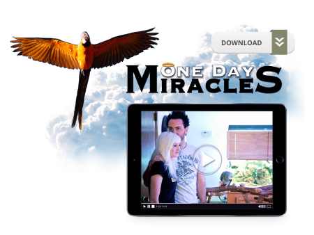 One Day Miracles Hot on Sale