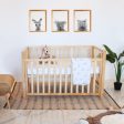 [Pre-Order] Babyhood Lulu Cot Online now