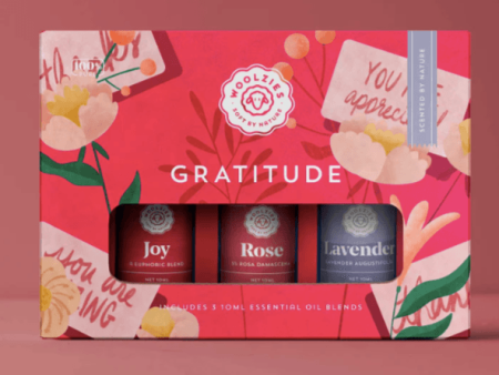 The Gratitude Collection Online Sale