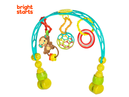 Bright Starts Flex N Go Activity Arch Take Along Toy (0m+) Online Sale