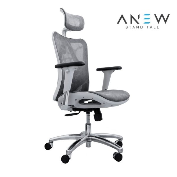 [PRE-ORDER] ANEW Standard Ergonomic Chair Supply