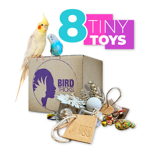 Tiny Toy Box (Bundle of 8) Online